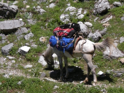 Berati Tours Albania
