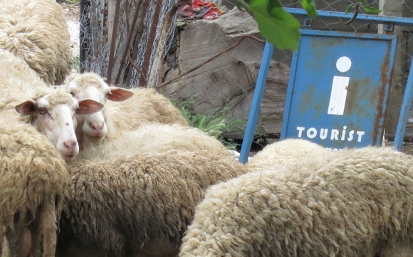 Berati Tours Albania